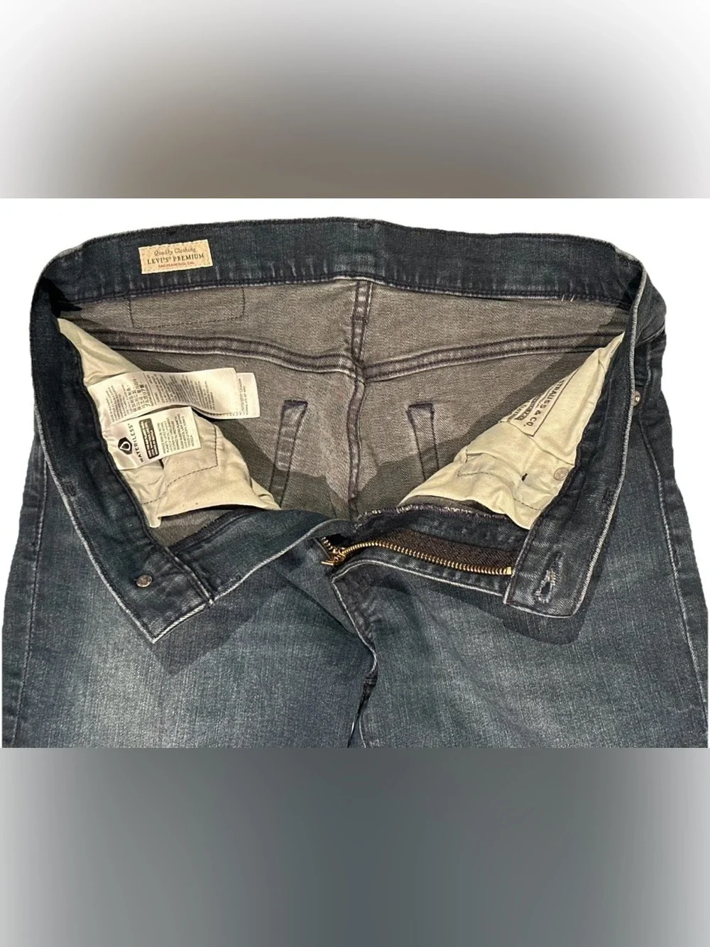 Levis levis 511